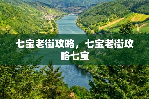 七宝老街攻略，七宝老街攻略七宝