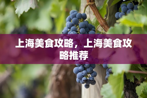 上海美食攻略，上海美食攻略推荐