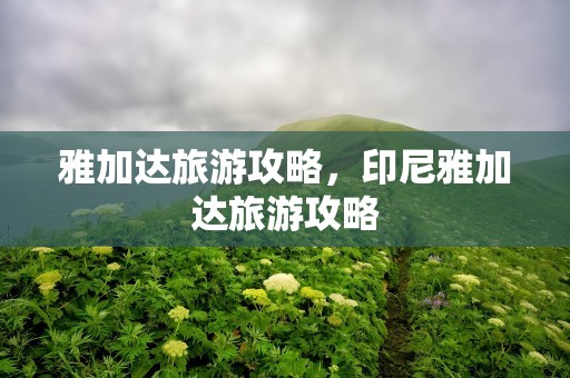 雅加达旅游攻略，印尼雅加达旅游攻略