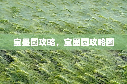 宝墨园攻略，宝墨园攻略图