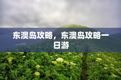 东澳岛攻略，东澳岛攻略一日游