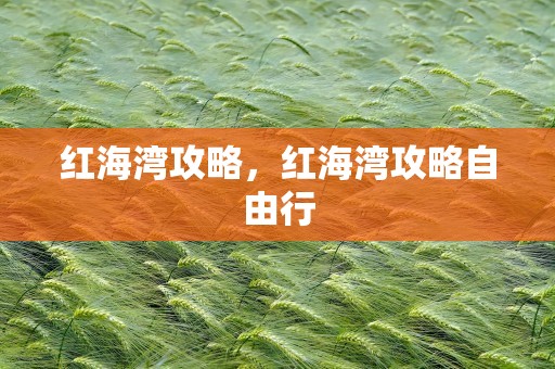 红海湾攻略，红海湾攻略自由行