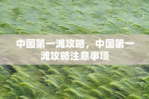 中国第一滩攻略，中国第一滩攻略注意事项