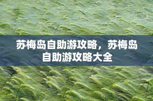 苏梅岛自助游攻略，苏梅岛自助游攻略大全