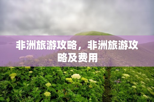 非洲旅游攻略，非洲旅游攻略及费用