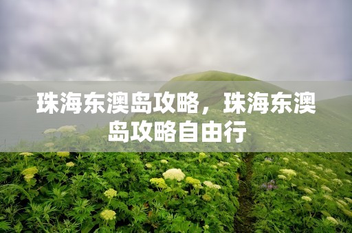 珠海东澳岛攻略，珠海东澳岛攻略自由行