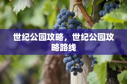世纪公园攻略，世纪公园攻略路线