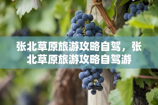 张北草原旅游攻略自驾，张北草原旅游攻略自驾游