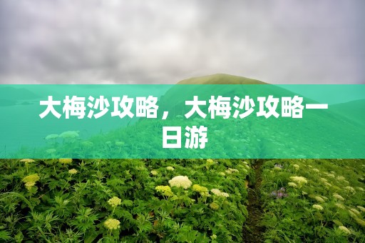 大梅沙攻略，大梅沙攻略一日游