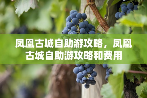 凤凰古城自助游攻略，凤凰古城自助游攻略和费用
