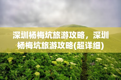 深圳杨梅坑旅游攻略，深圳杨梅坑旅游攻略(超详细)