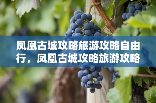凤凰古城攻略旅游攻略自由行，凤凰古城攻略旅游攻略自由行天气