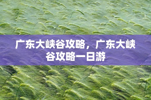 广东大峡谷攻略，广东大峡谷攻略一日游