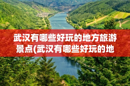 武汉有哪些好玩的地方旅游景点(武汉有哪些好玩的地方旅游景点免费)