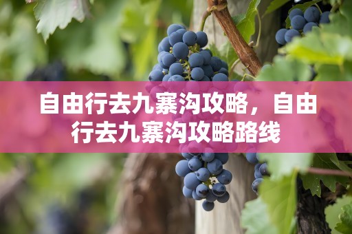 自由行去九寨沟攻略，自由行去九寨沟攻略路线