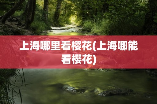 上海哪里看樱花(上海哪能看樱花)