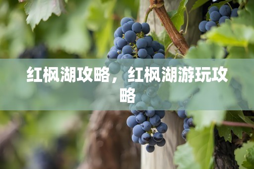 红枫湖攻略，红枫湖游玩攻略