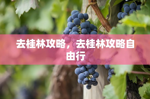 去桂林攻略，去桂林攻略自由行
