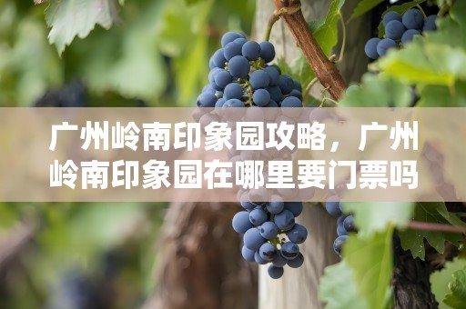 广州岭南印象园攻略，广州岭南印象园在哪里要门票吗?