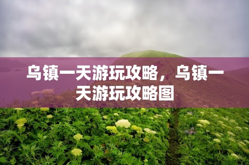 乌镇一天游玩攻略，乌镇一天游玩攻略图