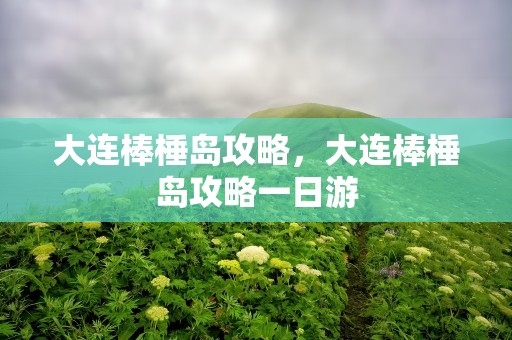 大连棒棰岛攻略，大连棒棰岛攻略一日游