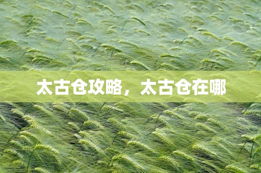 太古仓攻略，太古仓在哪