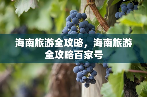 海南旅游全攻略，海南旅游全攻略百家号