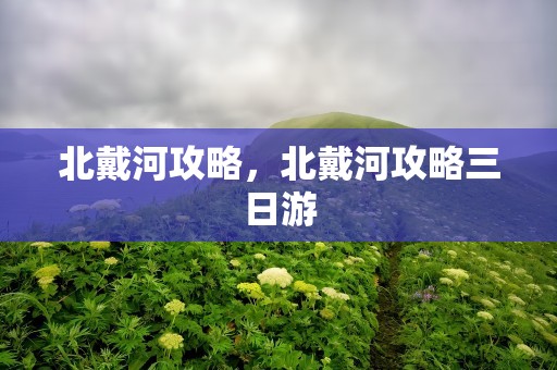 北戴河攻略，北戴河攻略三日游