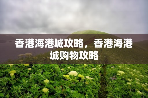 香港海港城攻略，香港海港城购物攻略