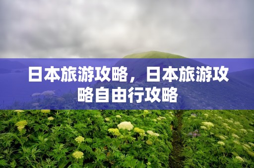 日本旅游攻略，日本旅游攻略自由行攻略
