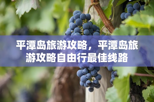 平潭岛旅游攻略，平潭岛旅游攻略自由行最佳线路
