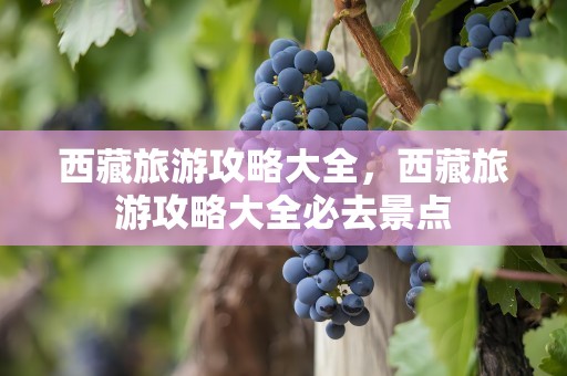 西藏旅游攻略大全，西藏旅游攻略大全必去景点