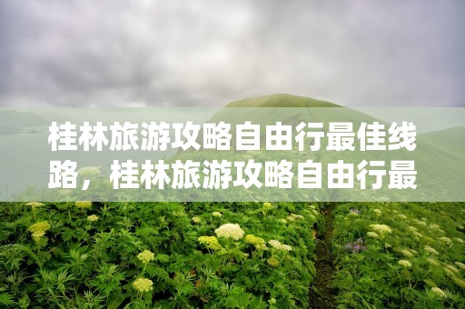 桂林旅游攻略自由行最佳线路，桂林旅游攻略自由行最佳线路4天