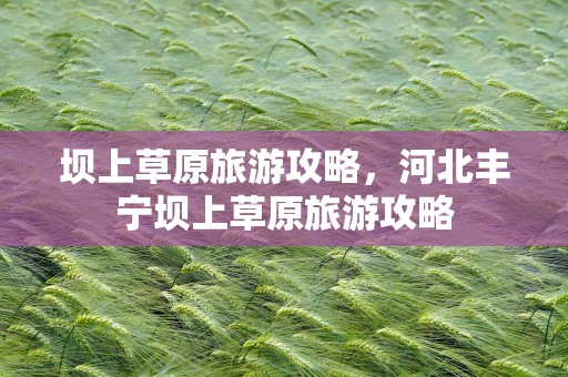 坝上草原旅游攻略，河北丰宁坝上草原旅游攻略
