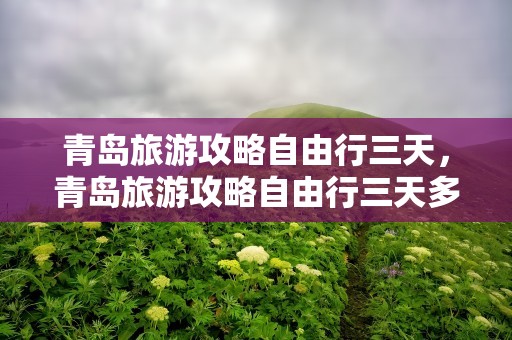 青岛旅游攻略自由行三天，青岛旅游攻略自由行三天多少钱