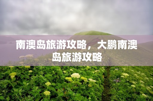 南澳岛旅游攻略，大鹏南澳岛旅游攻略
