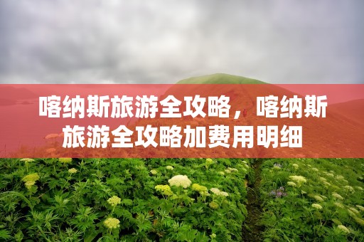 喀纳斯旅游全攻略，喀纳斯旅游全攻略加费用明细