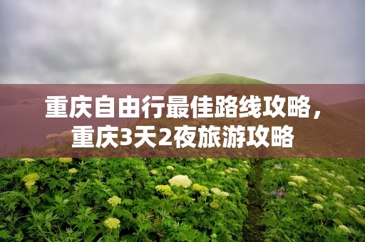 重庆自由行最佳路线攻略，重庆3天2夜旅游攻略