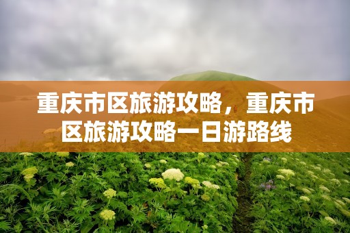 重庆市区旅游攻略，重庆市区旅游攻略一日游路线