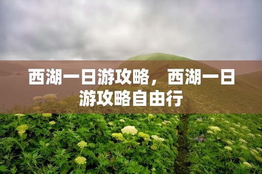 西湖一日游攻略，西湖一日游攻略自由行