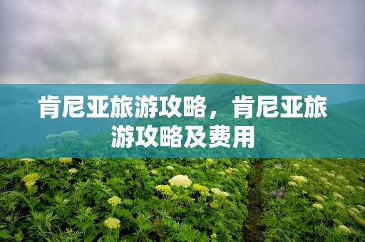 肯尼亚旅游攻略，肯尼亚旅游攻略及费用