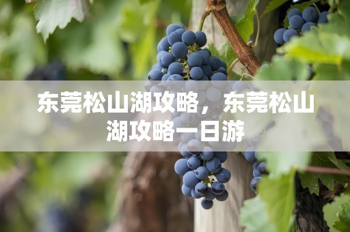 东莞松山湖攻略，东莞松山湖攻略一日游