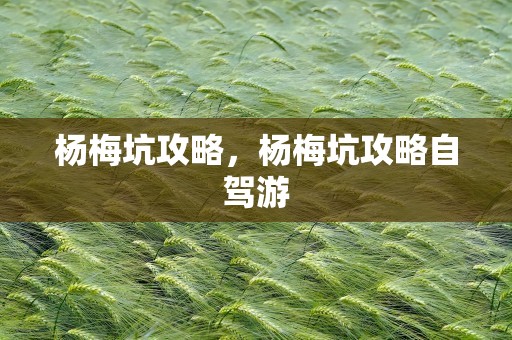 杨梅坑攻略，杨梅坑攻略自驾游