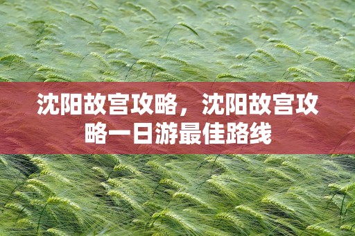 沈阳故宫攻略，沈阳故宫攻略一日游最佳路线