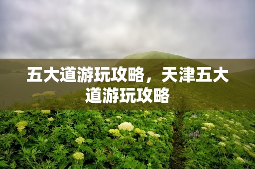 五大道游玩攻略，天津五大道游玩攻略