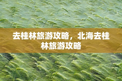 去桂林旅游攻略，北海去桂林旅游攻略