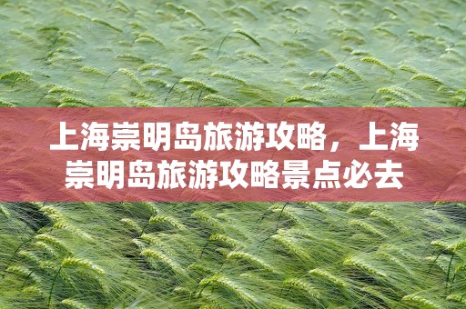 上海崇明岛旅游攻略，上海崇明岛旅游攻略景点必去