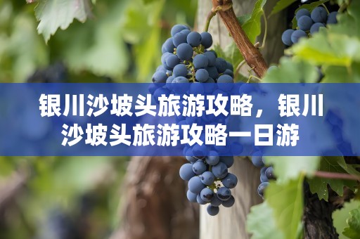 银川沙坡头旅游攻略，银川沙坡头旅游攻略一日游