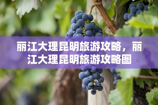 丽江大理昆明旅游攻略，丽江大理昆明旅游攻略图