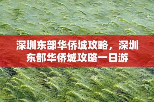 深圳东部华侨城攻略，深圳东部华侨城攻略一日游